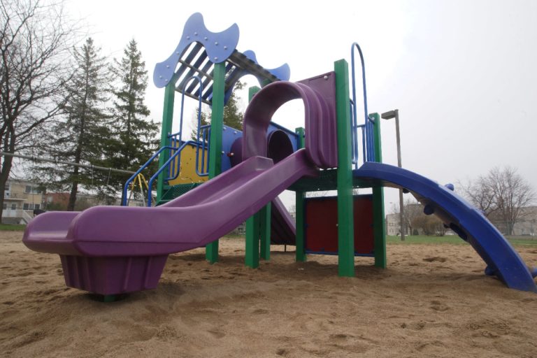 La Ville et la CSDL considèrent que le parc Cluny est l'endroit idéal pour construire une école primaire dans Laval-des-Rapides.