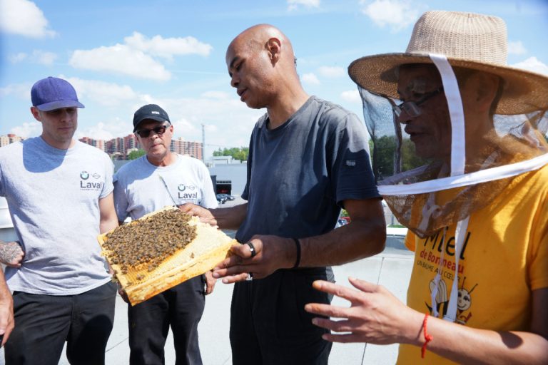 Depuis 2014, une dizaine de gars de l'Accueil Bonneau entretiennent quotidiennement des ruches urbaines dans la grande région métropolitaine.