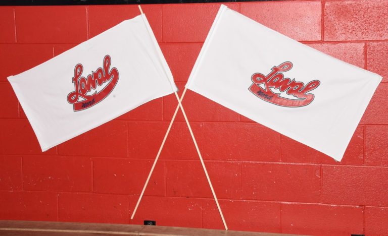 L'Association de hockey de Laval-Nord a sévi à l'endroit de l'entraîneur atome AA du Cobra.