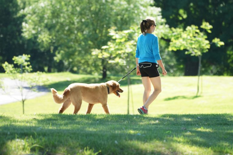 Les propriétaires de chiens peuvent se promener librement avec leur animal dans les parcs et boisés, mais la situation diffère au Centre de la nature.          