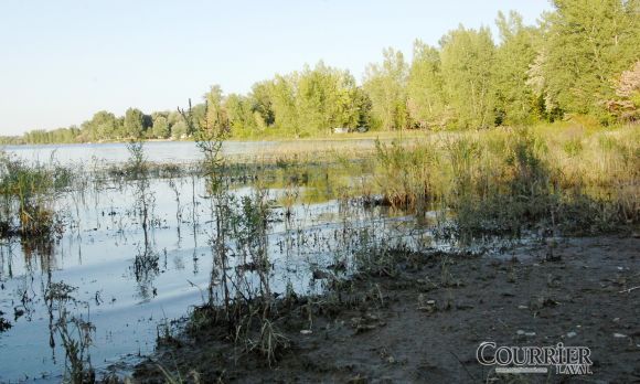La berge des Goélands, à Laval-Ouest: l'endroit le moins propice à la baignade dans l'ouest de Laval, cet été. (Photo: Martin Alarie)