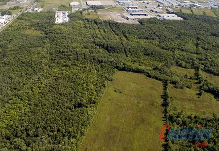Parmi les territoires que le Conseil régional de l'environnement de Laval voudrait voir figurer à la carte des milieux d'intérêt: le bois de l'Équerre, à Sainte-Rose. (Photo: Martin Alarie)