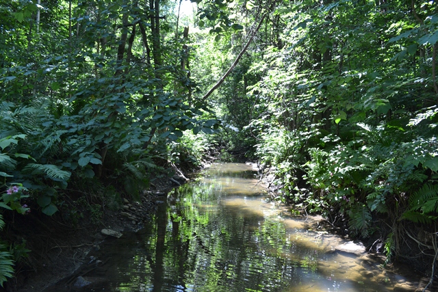 Le ruisseau Gascon prend sa source dans un milieu humide à l'est de la route 335 pour aller se jeter, sept kilomètres plus loin, dans la rivière des Mille-Îles.