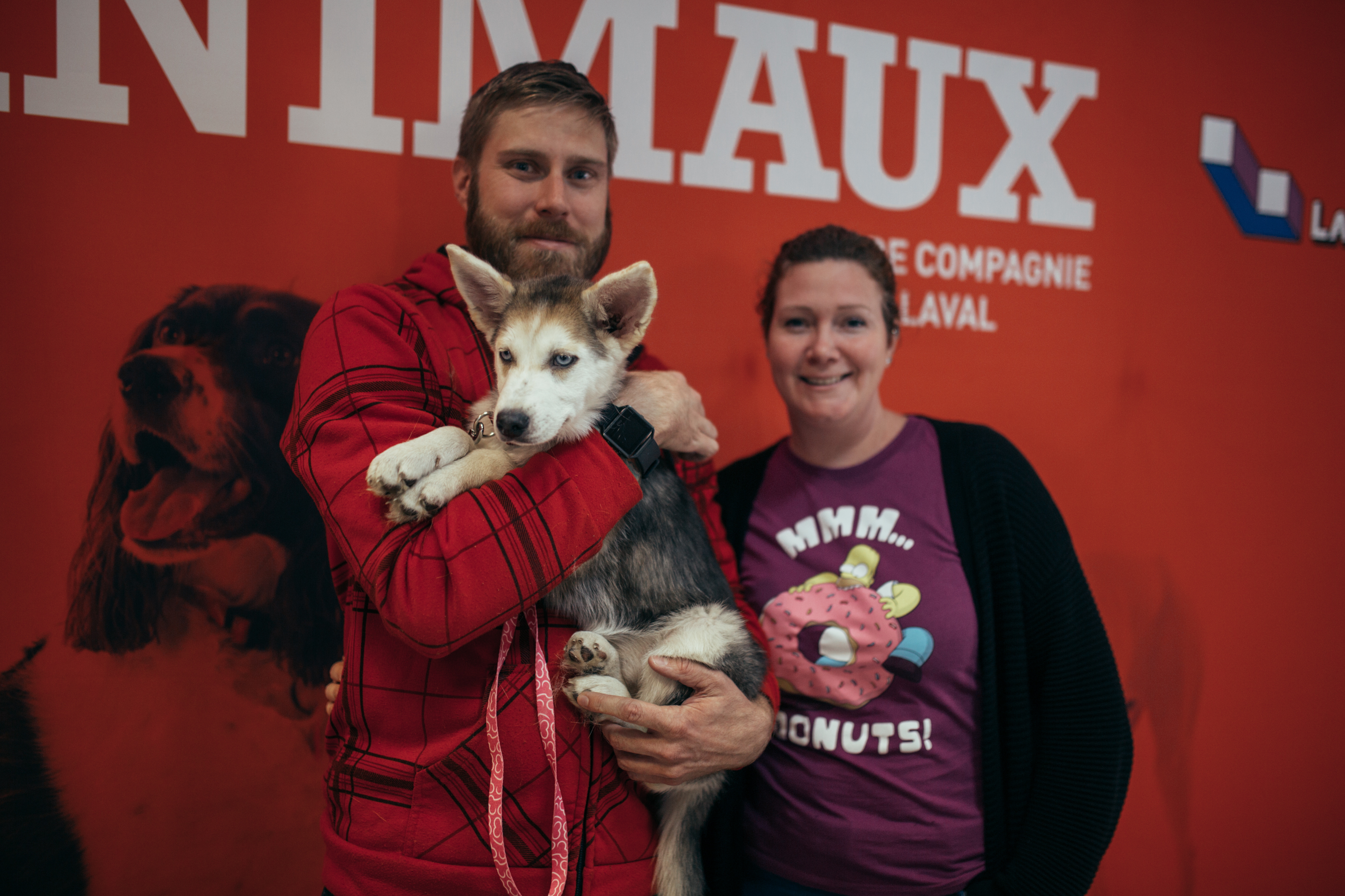 Réussite Pour La Journée Dadoption Danimaux Courrier Laval