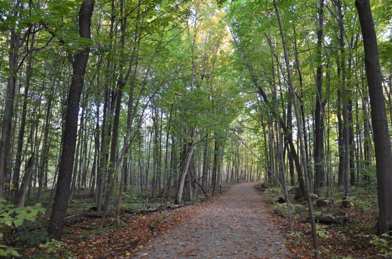 Sentier Bois de l'Équerre Laval