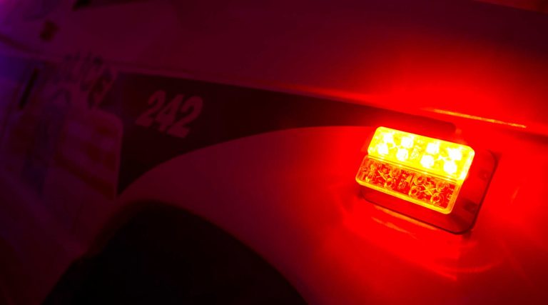 Les policiers, soutenus par leur maître-chien, ont réussi à repérer et arrêté un jeune homme de 21 ans suspecté d'avoir volé un véhicule, à Saint-Vincent-de-Paul, tout juste à l'est de la route 125.
