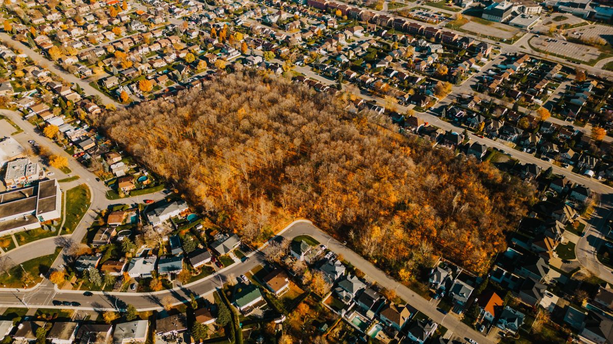 La Ville consolide la préservation du bois Vimont Courrier Laval