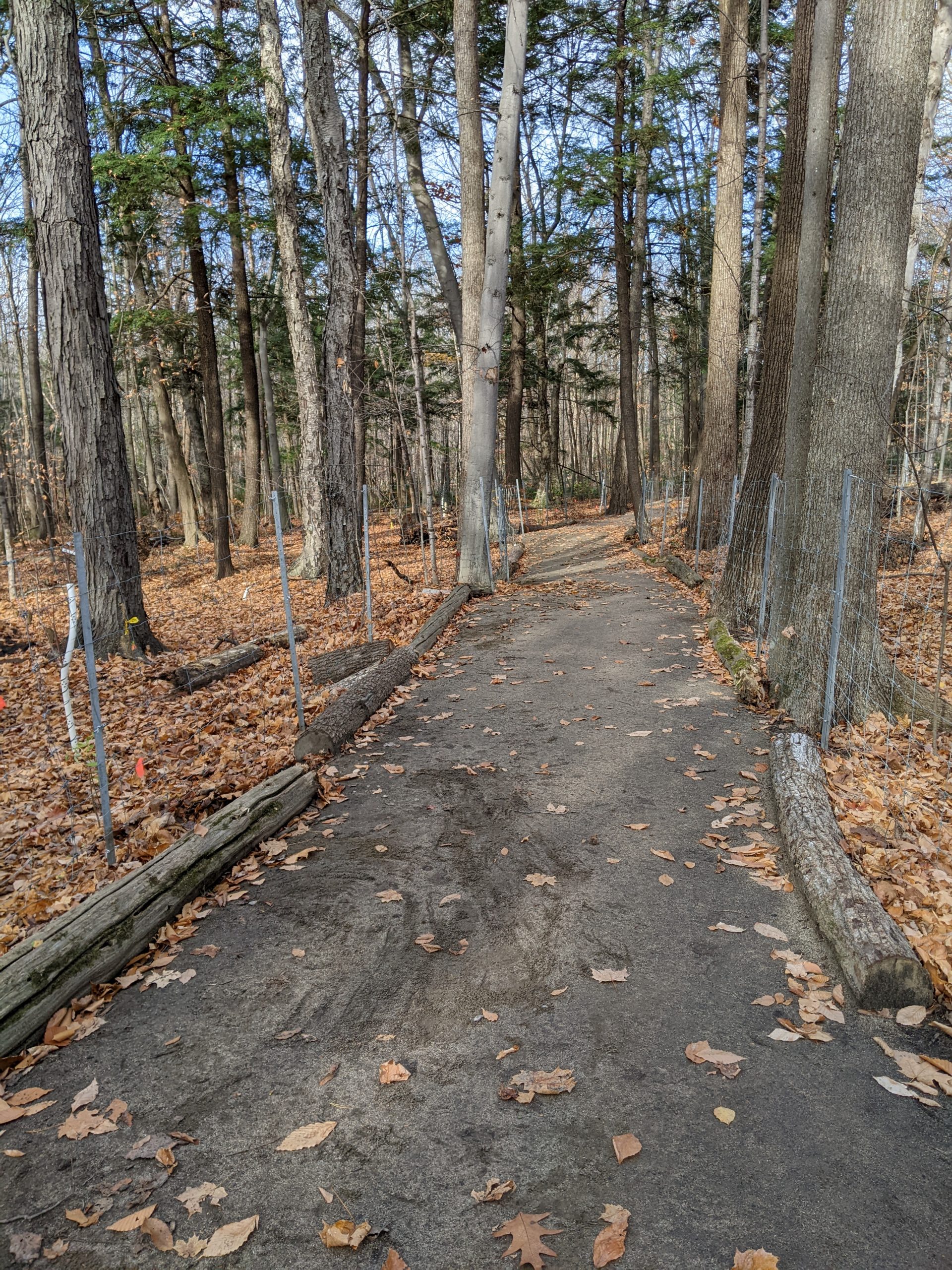 Les sentiers du bois Papineau rouverts au public