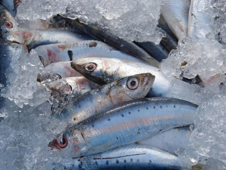 sardines potentiellement contaminées de botulisme.
