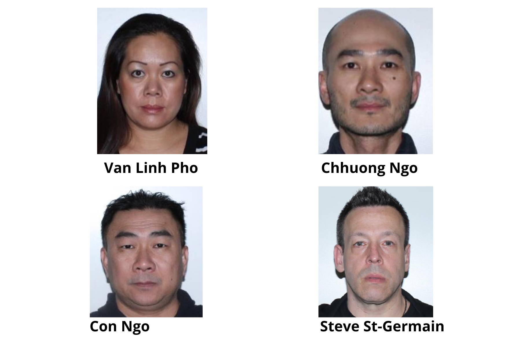 Les suspects Linh Pho, Chhuong Ngo, Con Ngo et Steve St-Germain font face à accusation de production de cannabis en contravention avec la loi.