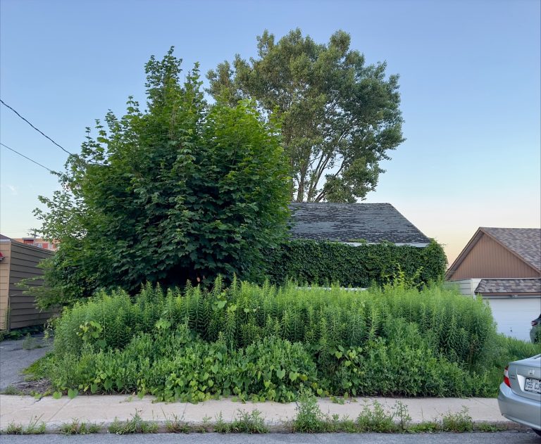 Deux rues à l’ouest du boulevard des Laurentides, entre les rues Meunier et Tourangeau, cette maison cachée derrière la végétation est située au 173, ave Quintal dans Laval-des-Rapides.