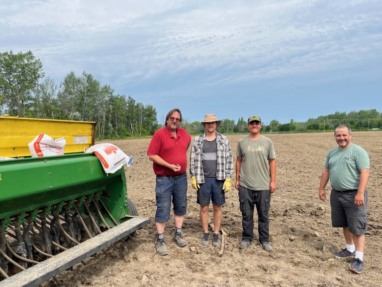 Les agriculteurs Donald Beaulieu, Guillaume Beaulieu, Christophe Girard et Luc Fortin se préparaient à semer de l'orge brassicole dans le champ qu'ils remettent en culture à Sainte-Dorothé, le 9 juillet dernier. (Photo 2M.Media – Geneviève Quessy