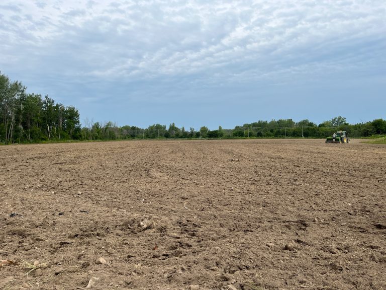 Une terre agricole en voie d'être remise en culture à Laval. (Photo Geneviève Quessy 2M.Media)