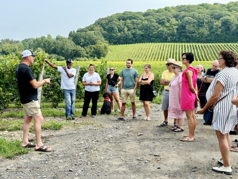 Le vignoble La Cantina. (Photo gracieuseté - La Cantina)