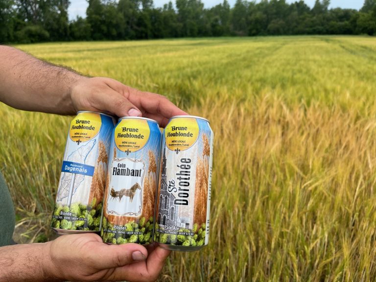 Des bières du Domaine Brune Houblonde produites à partir d'ingrédients cultivées à Laval. (Crédit photo 2M.media-Geneviève Quessy)