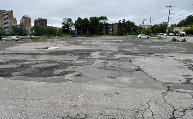 Une superficie de 7000 mètres carrés sera déminéralisée au cours des 30 prochains jours sur le site de la défunte marina du Commodore.