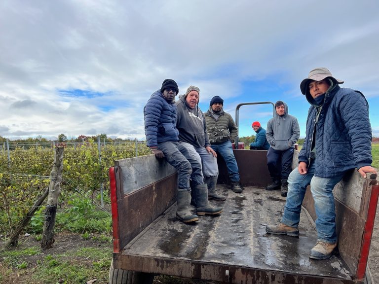 es travailleurs Loli, Jaime, Mario, Tony, Armando et Exar venaient de terminer les vendanges au vignoble Château Taillefer Lafon, le 10 octobre.