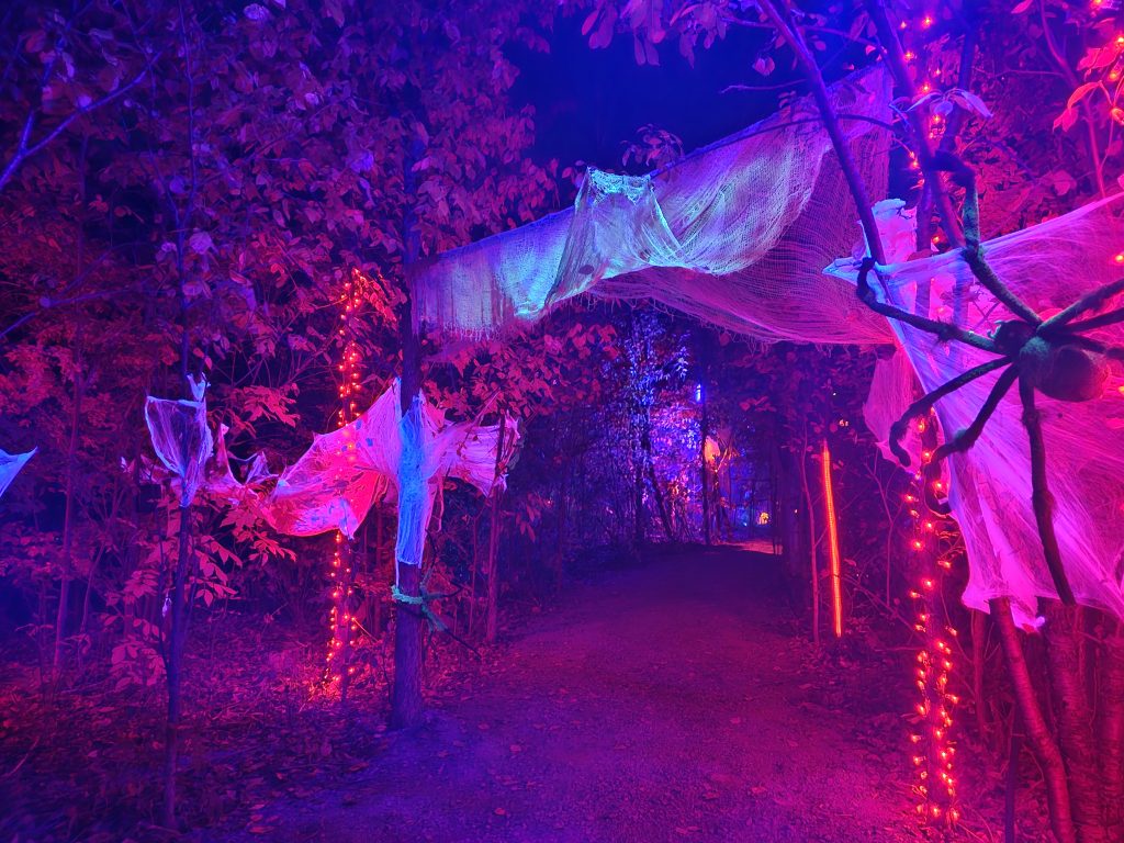 Une famille d’araignées et plusieurs autres compagnons monstrueux habitent le parcours hanté du Château Désenchanté. (Photo 2M.Media – Corinne Prince)