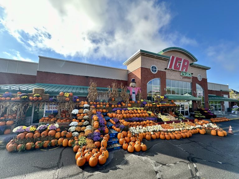 L’édition 2024 est la toute première du Festival Citrouilles Gratuites. (Photo gracieuseté)