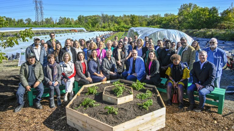 Le Marigot agricole, un projet d'agriculture urbaine et de communauté nourricière mené en collaboration avec une douzaine d’organismes partenaires des réseaux communautaire et institutionnel  de Laval.