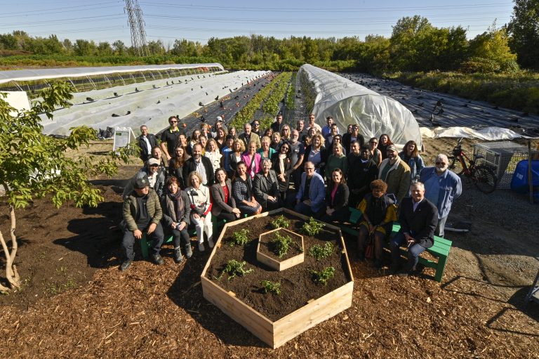 Le Marigot agricole, un projet d'agriculture urbaine et de communauté nourricière mené en collaboration avec une douzaine d’organismes partenaires des réseaux communautaire et institutionnel  de Laval.