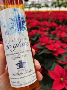 Grand Frisson de glace, un cidre liquoreux du vignoble Château Taillefer-Lafon. 