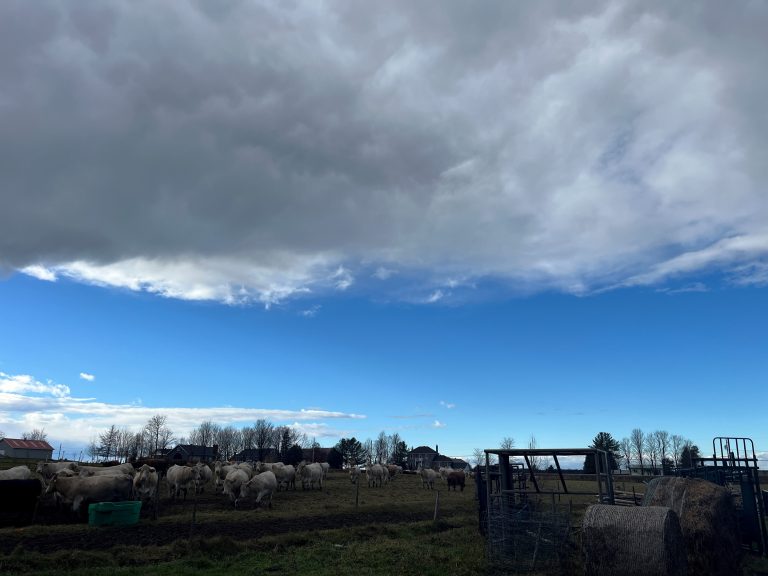 Suite au dépôt du projet de loi no 86, présenté le 5 décembre à l'Assemblée nationale et visant à assurer la pérennité du territoire agricole et sa vitalité, la Fédération de la relève agricole du Québec (FRAQ) a manifesté son contentement par voie de communiqué.