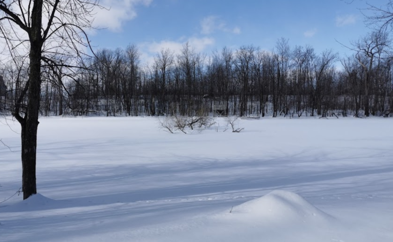 Parc de la Rivière-des-Mille-Îles à l'hiver