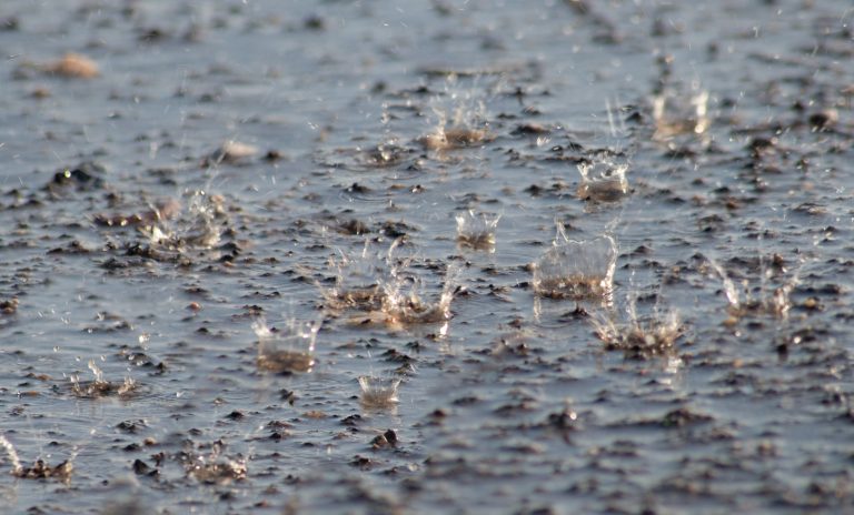 D’importantes précipitations de pluie suivies d’un fort refroidissement pourraient causer bien des maux de tête ces prochains jours sur le territoire de Laval.