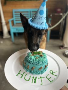 Un toutou qui déguste son gâteau d'anniversaire au Café Arthur.