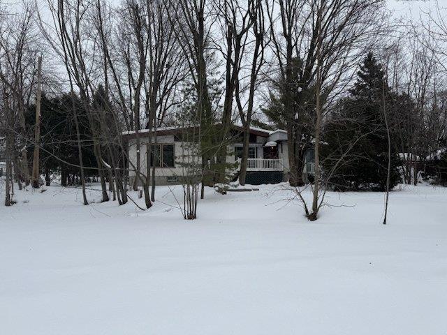 media - 2025-02-13T123812.239