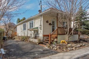 media - 2025-05-01T100706.221