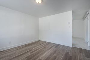 media - 2025-05-01T101055.287