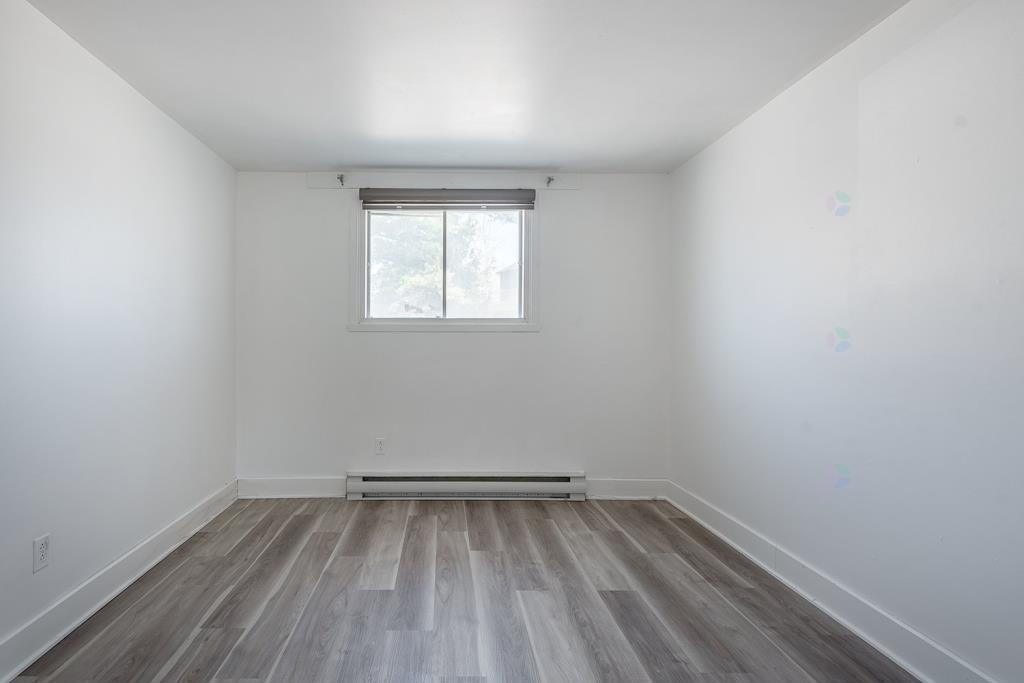 media - 2025-05-01T101101.616