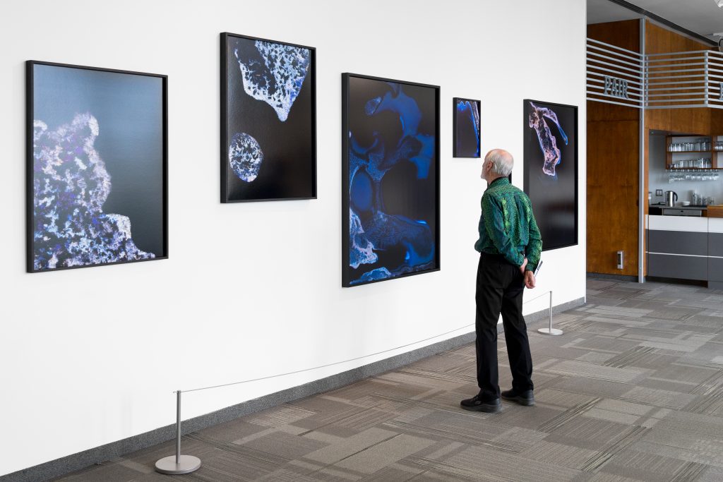 Photographies tirées de l’exposition Mers d’argent où Francis Macchiagodena questionne la relation entre sensations tactiles et formes de la matière. (Photo gracieuseté - Jean-Michael Seminaro)
