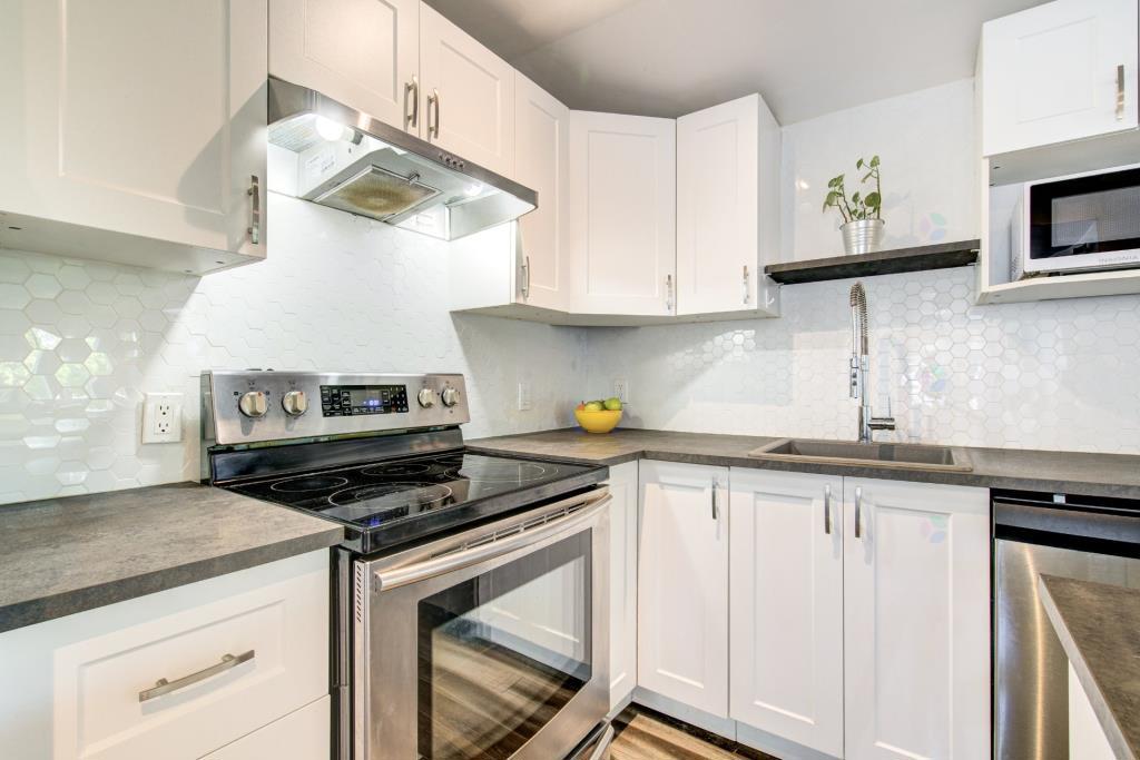 media - 2025-06-19T105801.245