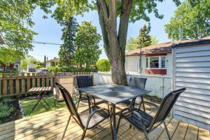 media - 2025-06-19T105814.021