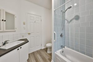 media - 2025-06-19T110441.106