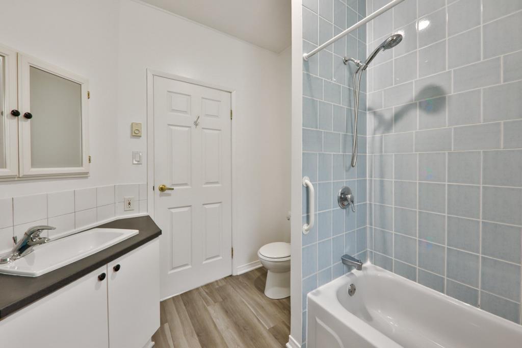 media - 2025-06-19T110441.106