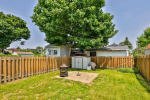 media - 2025-06-19T110446.685