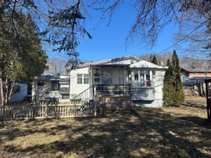 media - 2025-06-19T111059.700