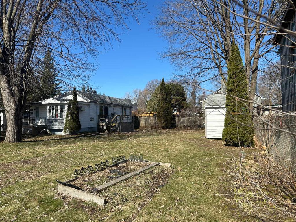 media - 2025-06-19T111106.414