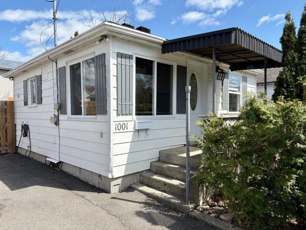 media - 2025-06-19T112813.272