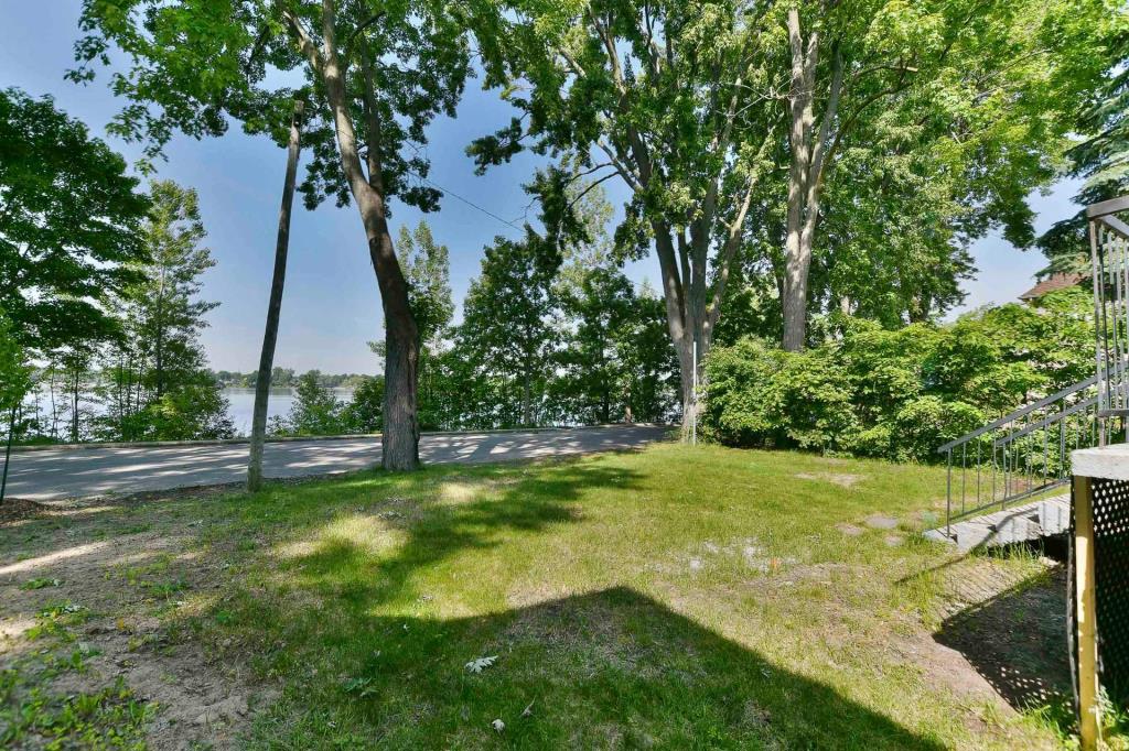 media - 2025-06-19T113502.610