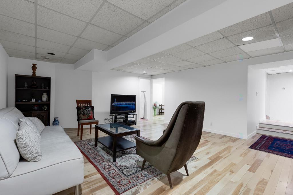 media - 2025-06-19T113955.008