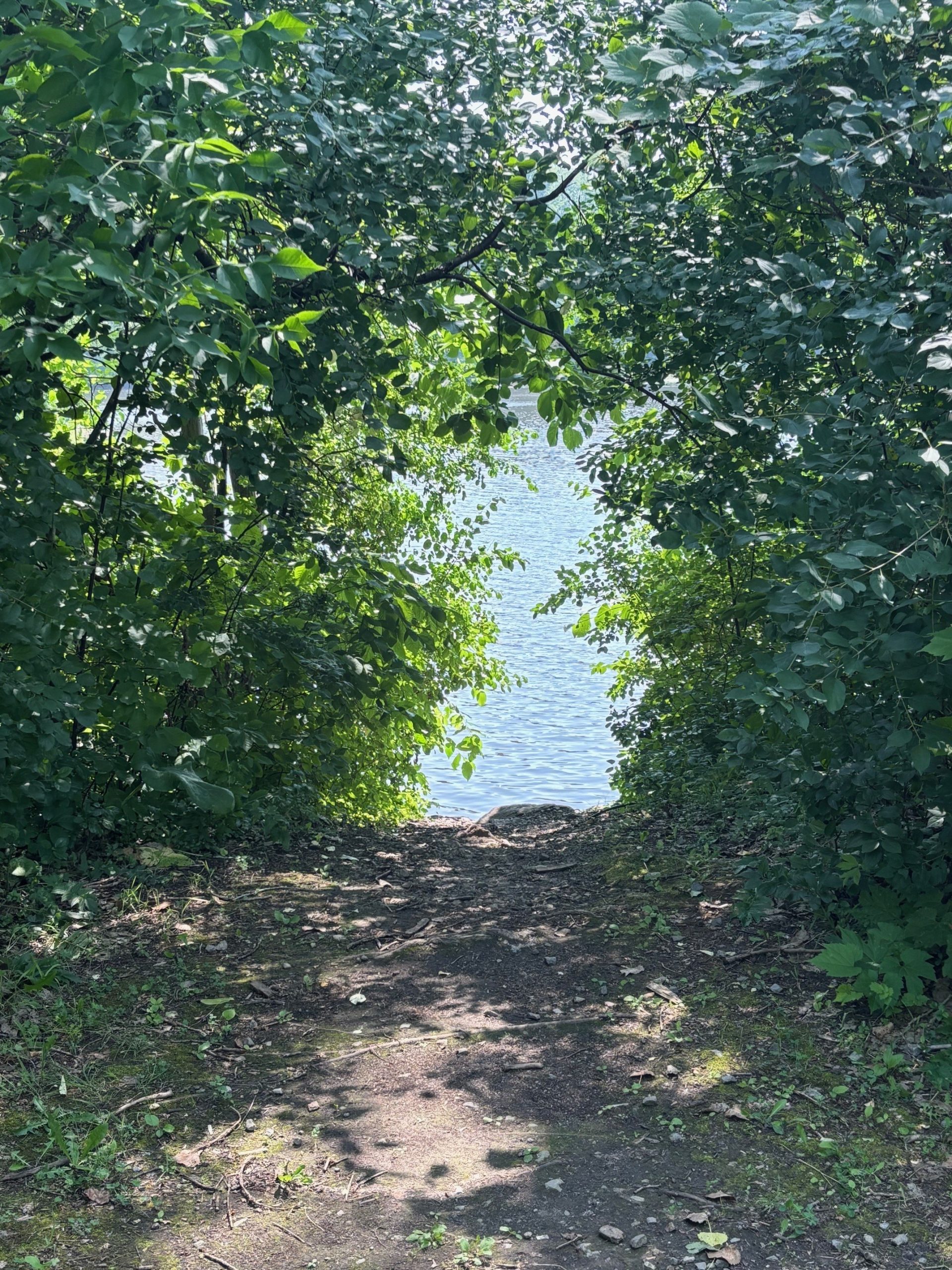 Les endroits discrets ne manquent pas sur l’île Locas et ses abords.