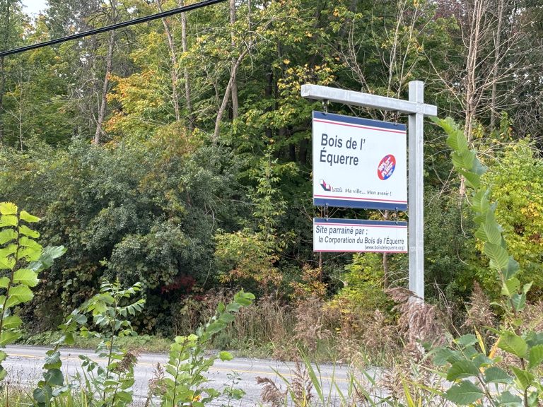 Bois de l’Équerre: un pavillon de 15 M$ qui dérange Le bois de l’Équerre est une forêt urbaine couvrant une superficie de 160 hectares sillonnée par 13 kilomètres de sentiers de randonnée dans le quartier Sainte-Rose.