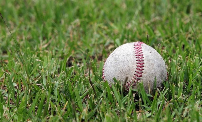 Selon les dirigeants du Club de baseball de Laval-Est, les nouveaux inscrits compliquent souvent la tâche lors du processus de sélection chez les plus jeunes, puisqu’ils peuvent se développer rapidement en cours de saison, alors qu’ils étaient classés parmi les moins forts au début de l’été. (Photo gracieuseté)