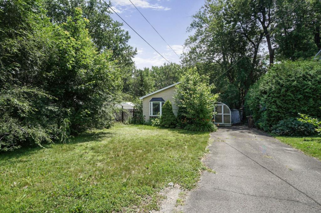 media - 2025-08-12T152612.990