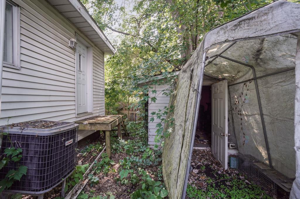 media - 2025-08-12T152650.623